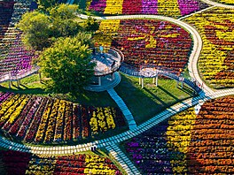 Snímek z výstavy chryzantém u m�sta Chuaj-an (29. �íjna 2024)