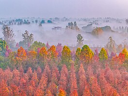 Letecký snímek sekvojových les� u �ínského jezera Chung-ce-chu v m�stské...