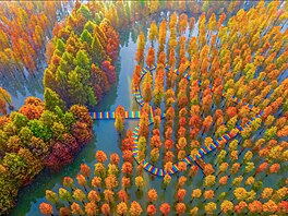 Letecký snímek sekvojových les� u �ínského jezera Chung-ce-chu v m�stské...