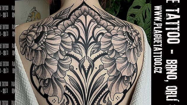 Uk�zky pr�ce brn�nsk�ho tat�ra Alberta �Doma� Domese.