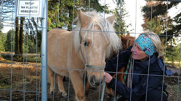 estice ponk ji opustila lokalitu Pastviska u Odrance na rsku. Cenn podmen louky udruje spolek Sdruen Krajina prv i pomoc pastvy.