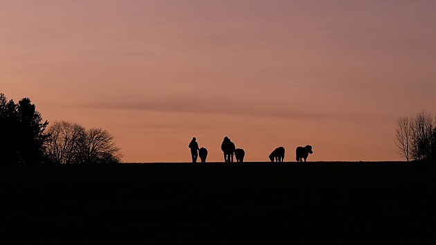Stdo mohlo bt na zimovit pepraveno vozem, jeho prvodci ale zvolili radji p tru.