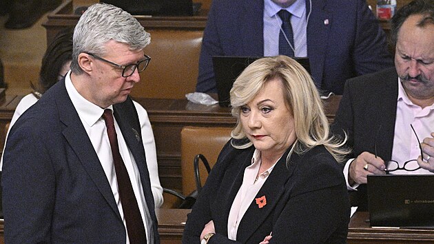 P�edseda st�nov� vl�dy ANO Karel Havl��ek a ��fka st�nov� vl�dy ANO Alena Schillerov� p�i projedn�v�n� vl�dn�ho n�vrhu d�chodov� reformy