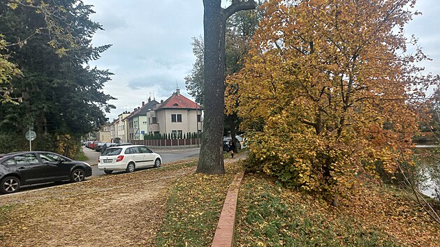 Ve vilov tvrti u Matinho jezera chce kraj postavit inovan centrum, mstn jsou proti. (31. jna 2024) 