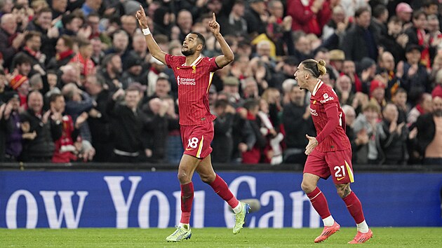 Cody Gakpo z Liverpoolu se raduje z vyrovn�vaj�c�ho g�lu v utk�n� proti Brightonu.