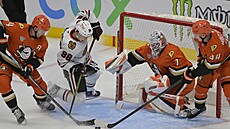 Conor Bedard z Chicaga p�ed branká�em Luká�em Dostálem z Anaheimu.