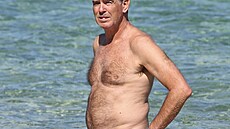 Pierce Brosnan