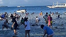 Sardinky se dostaly a� na plá�e.