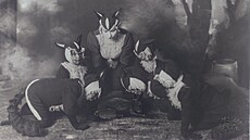 Titulní roli v premié�e opery P�íb�hy li�ky Bystrou�ky na p�ání Leo�e Janá�ka...