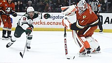 Branká� Luká� dostál z Anaheim Ducks rozehrává v zápase s Minnesota Wild.