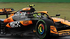 Lando Norris z McLarenu b�hem kvalifikace na Velkou cenu Sao Paula.