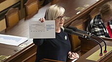 Prezident Petr Pavel