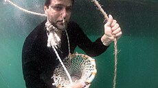 Tak njak vypadal lov perel v minulosti. Za den se lovci potopili a dv st...