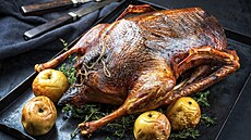 Svatomartinská husa