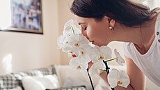 Milujete orchideje? Kdy� jim dop�ejete tu správnou pé�i, pokvetou vám ka�dý rok.