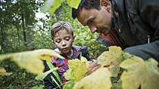 Tak co, dali byste dohromady písemku z pírodopisu ze základní koly? Nebo...