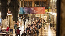 Záb�r z filmového festivalu Mezipatra v roce 2023