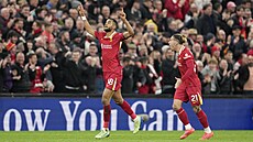Cody Gakpo z Liverpoolu se raduje z vyrovnávajícího gólu v utkání proti...