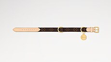 Sou�ástí kolekce je i psí obojek.