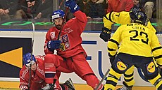 Momentka z utkání �esko - �védsko.