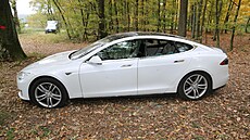 Na lesní cest poblí silnice 304 mezi Kivicemi a Bolehotí kdosi pokodil vz...