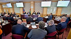 Na ustavujícím zastupitelstvu Plzeského kraje se také probírala kumulace...