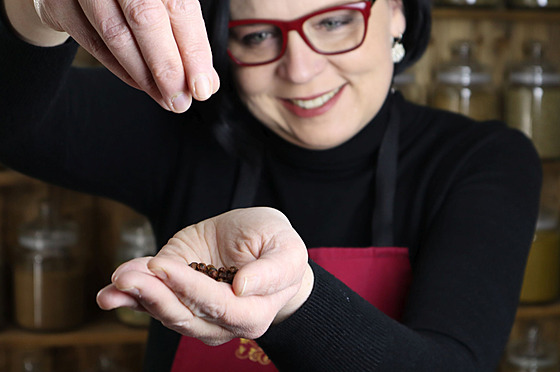 Michaela Schneedorferová (11. listopadu 2024)