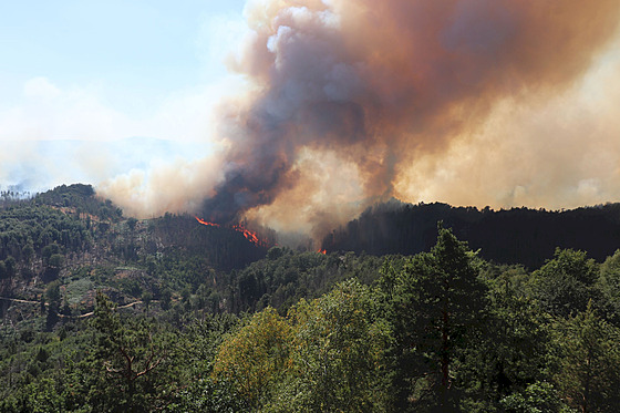 Obí poár vypukl v eském výcarsku v lét 2022.