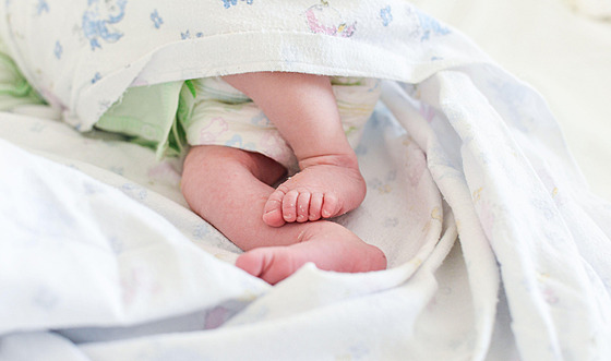 ilustra�ní snímek