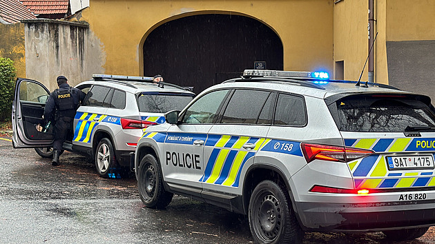 Mladík poslal studentce SMS, že vystřílí školu v Michli. Policie ho zadržela