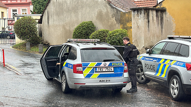 Přišel vyčistit komín, seniorku doma ubil k smrti. Hrozí mu až výjimečný trest