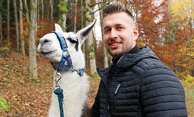tpán Vlek na své farm, kde chová velbloudy a lamy.