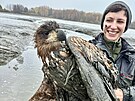 Pro uv�zl�ho orla se Libor �ejna s kolegyn� Krist�nou Nohejlovou brodili hust�m...