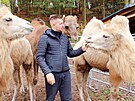 tpn Vlek na sv farm, kde chov velbloudy a lamy.