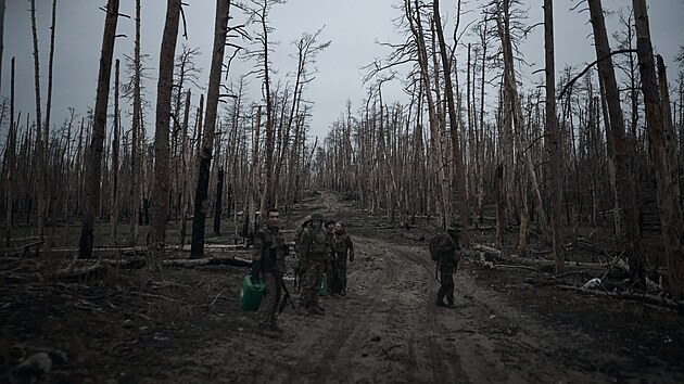 Ukrajinsk� jednotky v rozst��len�ch borovicov�ch les�ch Serebrjansk� p��rodn� rezervace nedaleko m�sta Kremina (10. listopadu 2024)