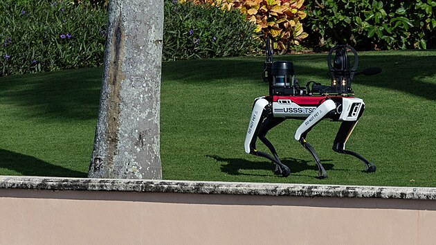 Robopsi hl�daj� perimetr Trumpova resortu Mar-a-Lago v Palm Beach. (12. listopadu 2024)