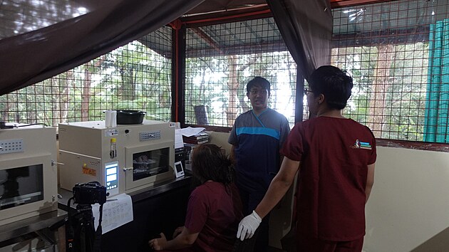 Inkubace v novch lhnch