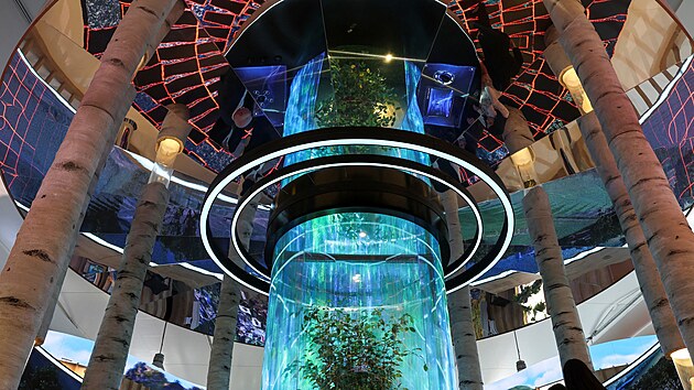 Lid� nav�t�vuj� tureck� pavilon v zelen� z�n� v m�st� kon�n� konference OSN o zm�n� klimatu COP29 v �zerb�jd��nsk�m Baku. (11. listopadu 2024)