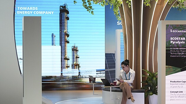 �ena sed� v zelen� z�n� na klimatick�m summitu OSN COP29. (11. listopadu 2024)