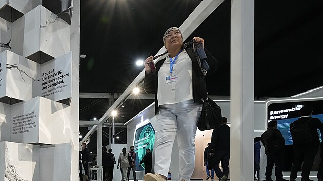 �ena proch�z� pavilonem Ukrajiny na klimatick�m summitu OSN COP29. (11. listopadu 2024)