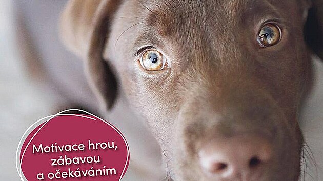 Vcvik psa bez pamlsk, praktick titul z nakladatelstv Esence