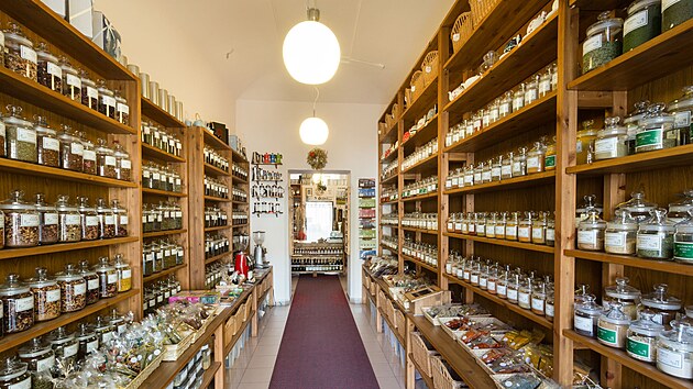 Kr�lovstv� chuti v pra�sk�ch Nusl�ch (11. listopadu 2024)