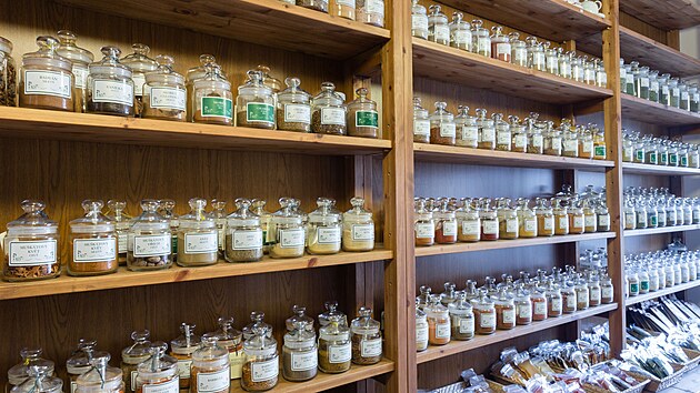 Kr�lovstv� chuti v pra�sk�ch Nusl�ch (11. listopadu 2024)