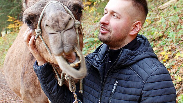 tpn Vlek na sv farm, kde chov velbloudy a lamy.
