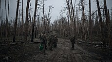 Ukrajinské jednotky v rozst�ílených borovicových lesích Serebrjanské p�írodní...