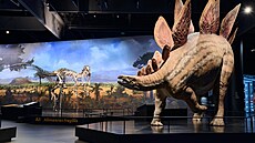 Dinosauria Museum Prague v POP Airport