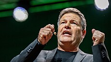 Kandidátem na n�meckého kanclé�e za Zelené bude vicekanclé� a ministr...