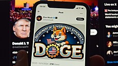 Elon Musk povede ministerstvo pro efektivní vládu, zkrácen� DOGE, co� odkazuje...
