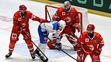 T�inecký obránce Richard Nedomlel si v utkání Ligy mistr� s polskou Osv�timí...