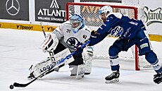 Brnnský útoník Tomá Marcinko se natahuje po puku ped brankáem Nickem...